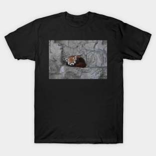 Red Panda T-Shirt